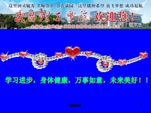 老年护理学绪论ppt课件