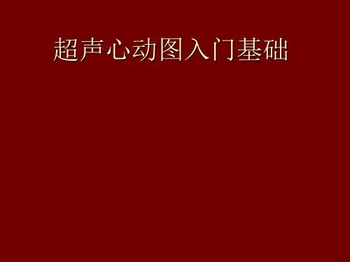 超声心动图入门基础第二部分