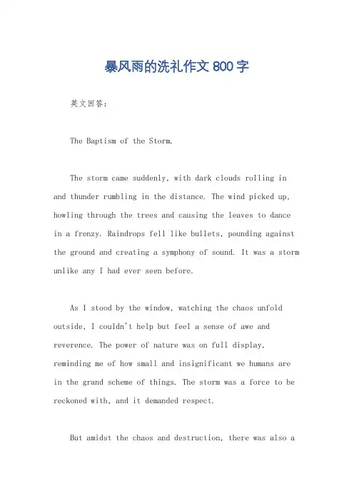暴风雨的洗礼作文800字
