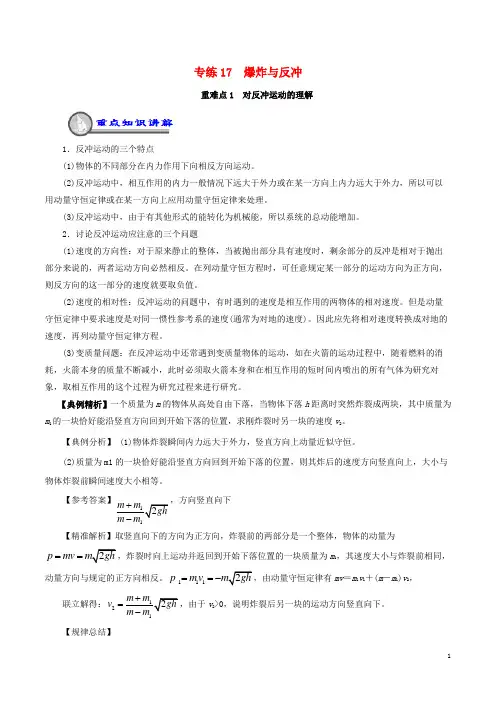 高一物理暑假作业17 爆炸与反冲重、难点通关