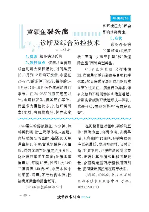 黄颡鱼裂头病诊断及综合防控技术