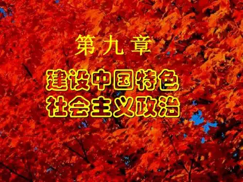 第九章  发展社会主义民主政治
