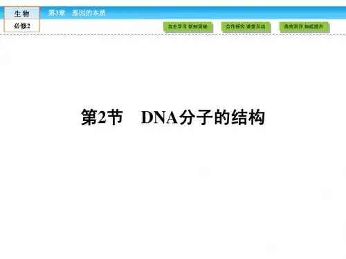 (人教版)高中生物必修二：3.2《dna分子的结构》ppt课件