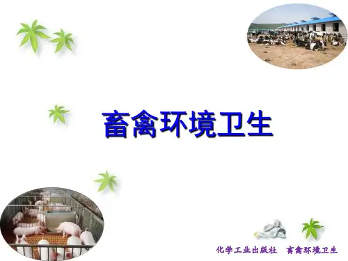 畜禽环境卫生- 畜舍环境控制-PPT演示文稿