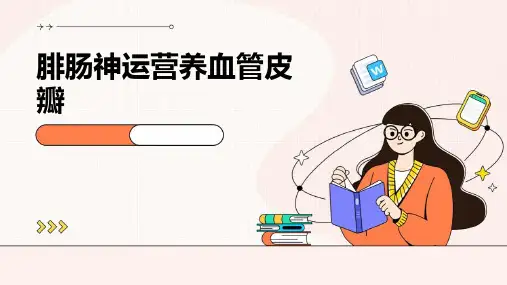 腓肠神运营养血管皮瓣