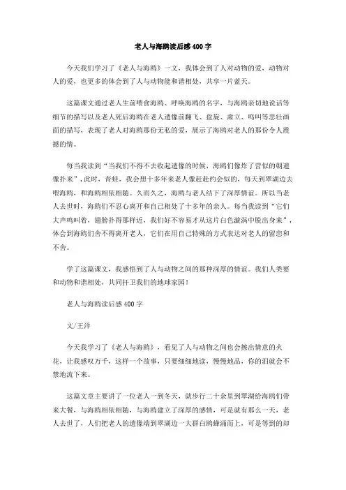 老人与海鸥读后感400字