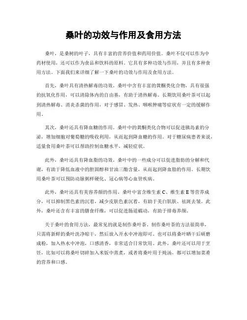 桑叶的功效与作用及食用方法