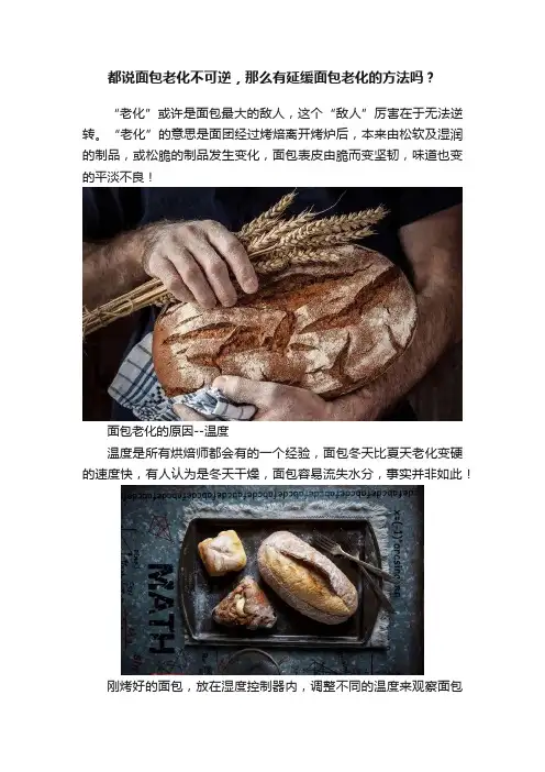 都说面包老化不可逆，那么有延缓面包老化的方法吗？