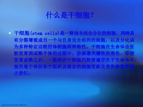 造血干细胞与淋巴细胞