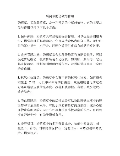 奶蓟草的功效与作用