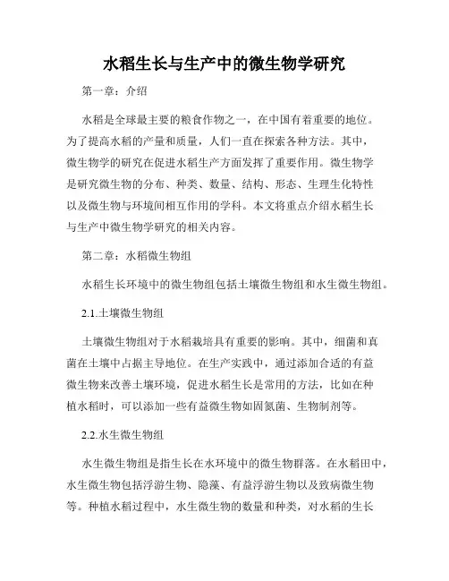 水稻生长与生产中的微生物学研究