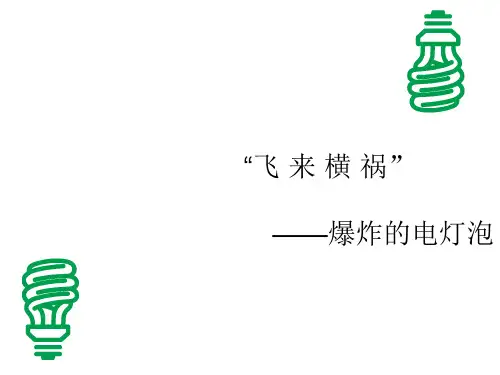 安全经验分享案例PPT课件