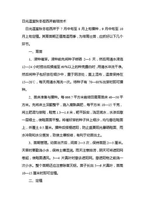 日光温室秋冬茬西芹栽培技术