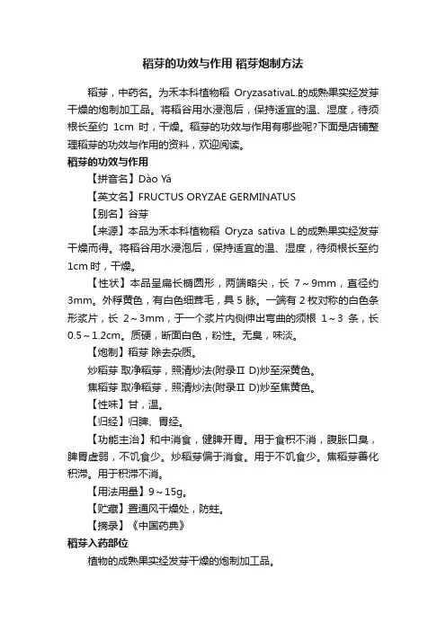 稻芽的功效与作用稻芽炮制方法