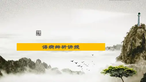 高考语文复习：语病专题讲解课件