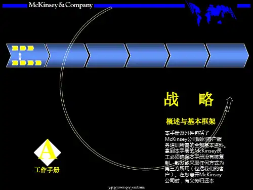 麦肯锡战略咨询模板