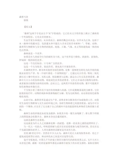 森林写意原文