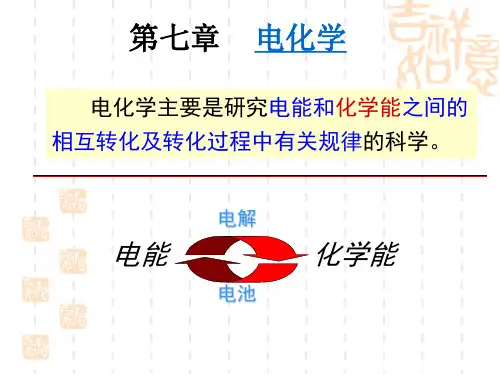 物理化学PPT电化学(新)