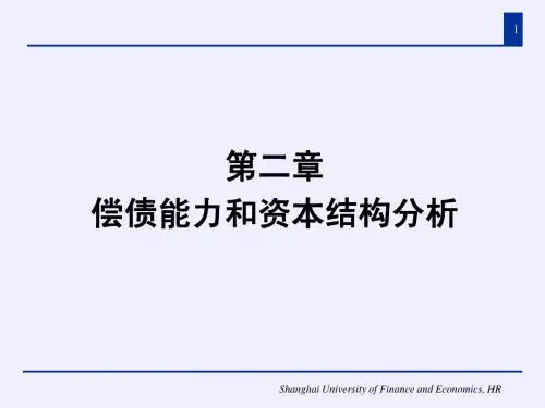 第二章 偿债能力和资本结构分析
