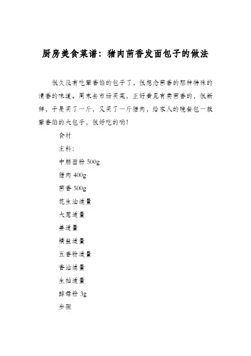 厨房美食菜谱：猪肉茴香发面包子的做法