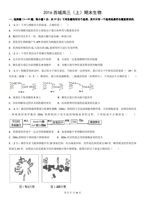 2016西城高三(上)期末生物