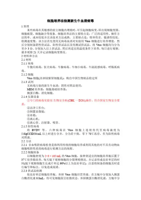 新生牛血清病毒检测细胞培养法
