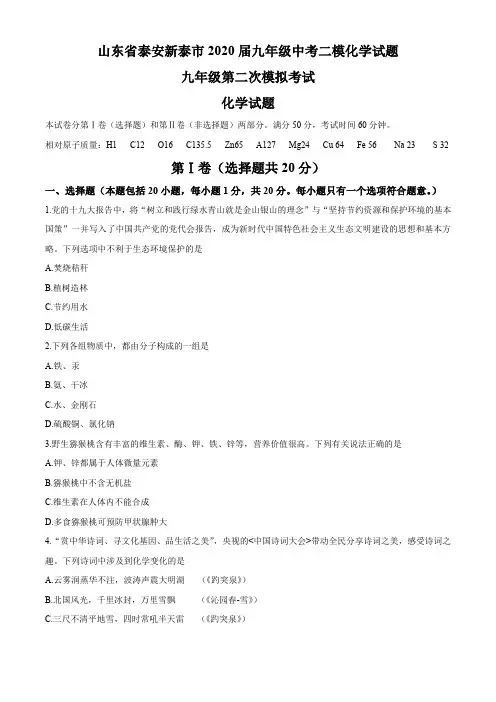 山东省泰安新泰市2020届九年级中考二模化学试题