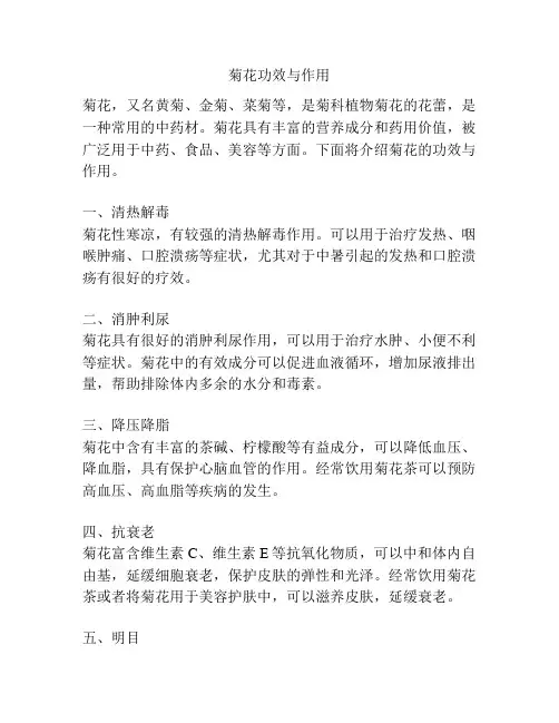 菊花功效与作用