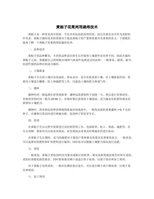 黄栀子花果两用栽培技术