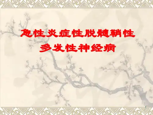 急性炎症性脱髓鞘性
