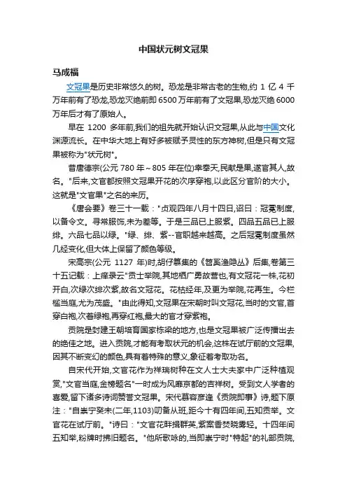 中国状元树文冠果