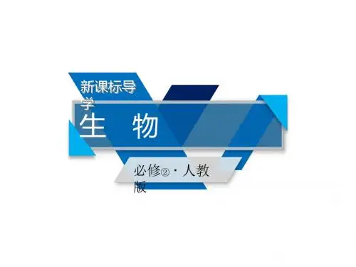 2017-2018学年高中生物必修二(人教版)课件：第6章 第1节杂交育种与诱变育种
