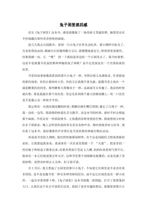 兔子洞里读后感