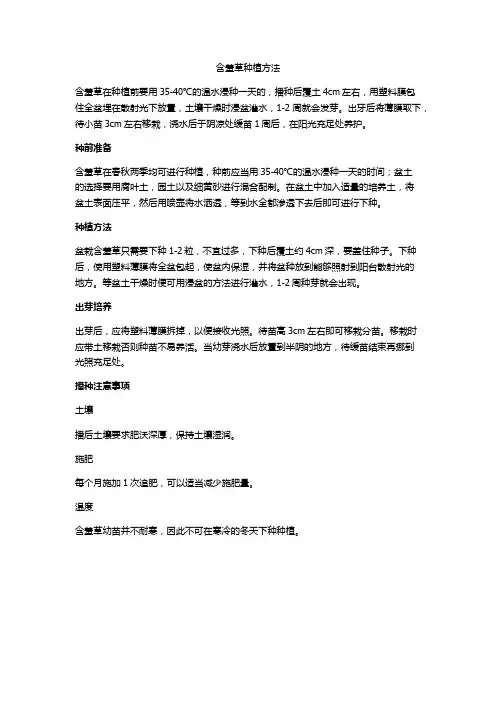 含羞草种植方法