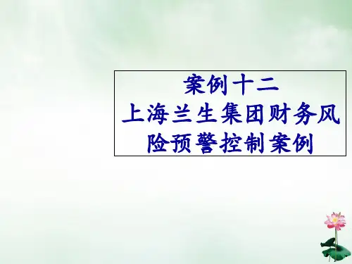 财务风险预警分析及其案例(ppt47页)