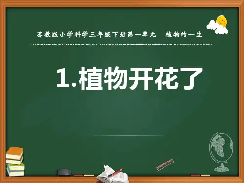 3新苏教版小学科学三年级下册精品课件.植物开花了 (第一课时)