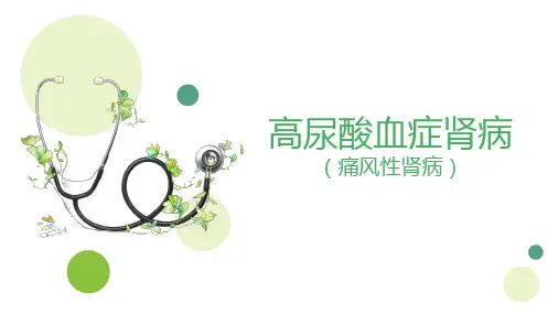 痛风性肾病护理查房