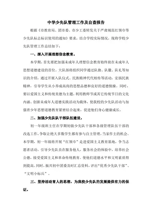少先队自查报告