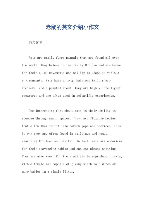 老鼠的英文介绍小作文