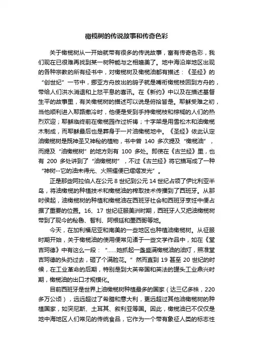 橄榄树的传说故事和传奇色彩