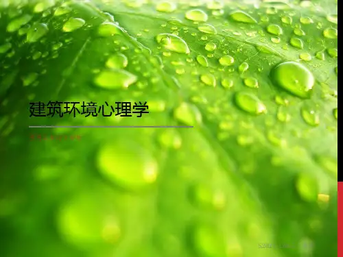 建筑环境心理学 论文分析概要1幻灯片PPT