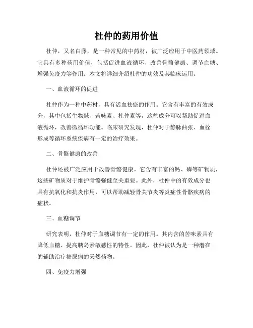杜仲的药用价值