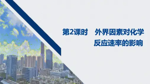 外界因素对化学反应速率的影响 (1)
