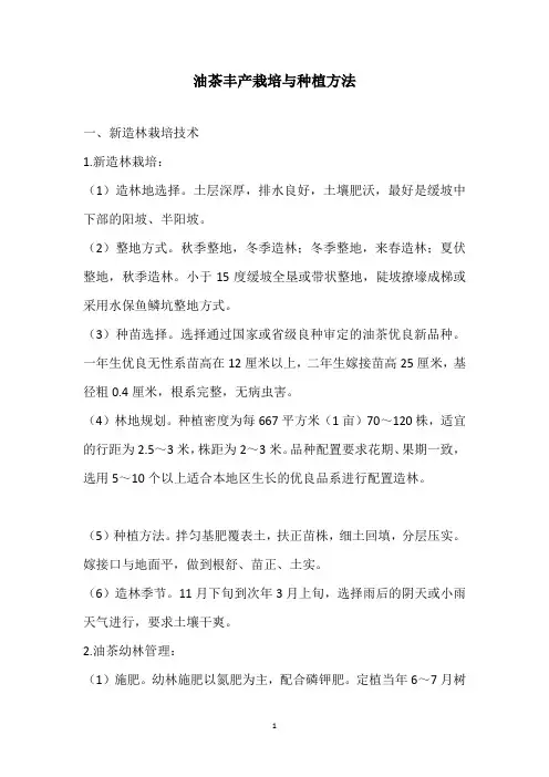 油茶丰产栽培与种植方法