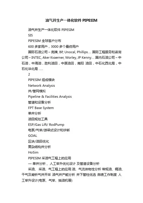 油气井生产一体化软件PIPESIM