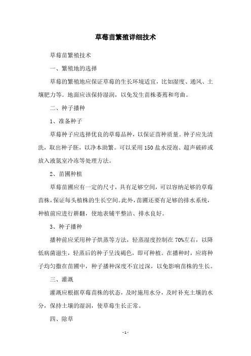 草莓苗繁殖详细技术