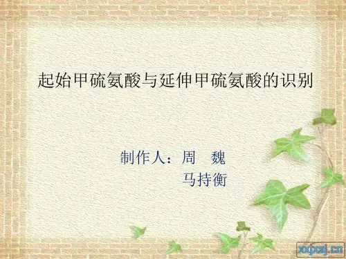 甲硫氨酸