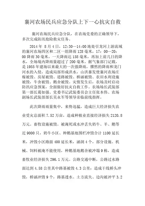 2013民兵抗洪抢险材料