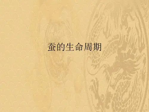 2021优选蚕的生命周期ppt
