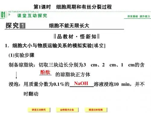 高中生物人教版必修一上篇第6章第1节第1课时细胞周期和有丝分裂过程